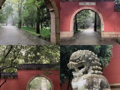 -灵谷景区