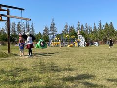 -上海长兴岛郊野公园