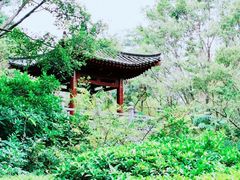 -深圳国际园林花卉博览园