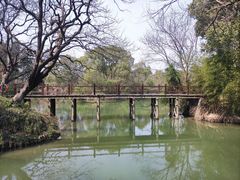 -西溪国家湿地公园