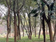 -杭州植物园