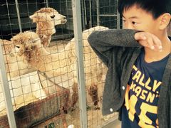 -意大利农场度假村