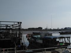 -大湾区中央湿地公园-十九涌