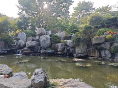 -东莞植物园