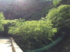 -北京上方山国家森林公园