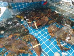 -好人家海鲜酒楼(淞南路店)