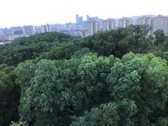 -四望岗公园