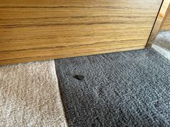 -珠海中海雅高铂尔曼酒店