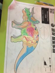 -恐龙探索乐园(磁器口店)