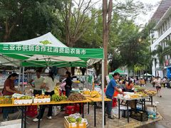 -海南热带海洋学院(三亚校区)
