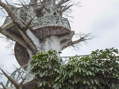 -芒洲湿地公园