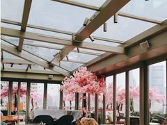 大堂-城市露台景观餐厅(淮海路店)