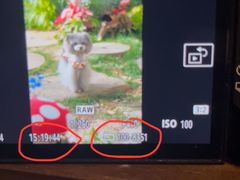 -上海鲜花港