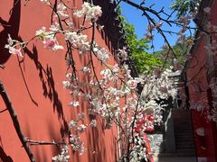 -潭柘寺景区