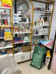 -阅年轻·AI家庭健康体质调理