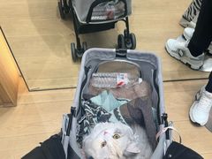 -比斯特上海购物村精品奥特莱斯