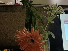-佬麻雀·新湘菜(东方宝泰店)