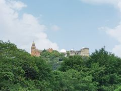 -上海佘山国家森林公园西佘山园