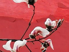 -东华门大街小区