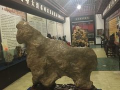 -游龙石文化科普馆