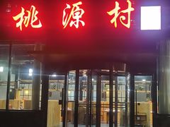 -桃源村铁锅炖鱼(体育馆道店)