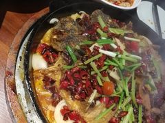 -老板恋上鱼(高新万达店)