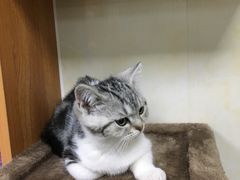 -康乐宝动物医院