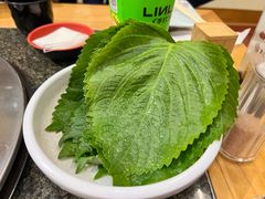 苏子叶-梦山水日本烧肉(五四广场店)