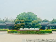 -金银湖国家城市湿地公园