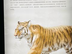 -四川大学博物馆
