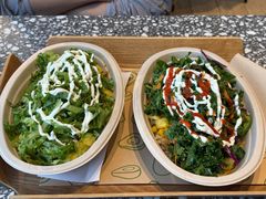 -油梨树AVOCADO TREE(望京店)