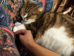 -咖法森林·咖啡  酒吧(天河店)