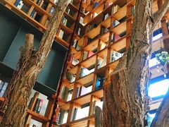 -Maan coffee漫咖啡(1905店)
