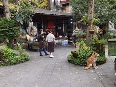 -青城甲(青城山店)