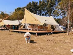 -不觉晓CAMPING(上海迪士尼营地店)