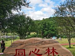 -牛岗山公园