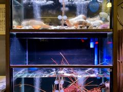 -家贺屋刺身寿司专门店