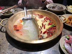 -小龙坎火锅(总店)