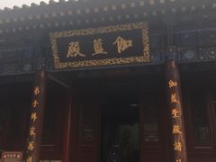 -大慈恩寺(大雁塔)