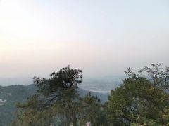-大金鹰园