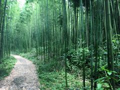 -杭州双溪漂流景区