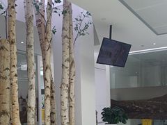 -极简口腔(总院)
