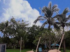 -三亚海棠湾万丽度假酒店