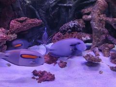-嘉兴海底世界