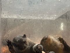-哈尔滨波塞冬海底世界