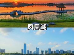 -乌镇景区