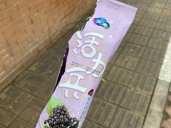-盛华冷饮雪糕批发部