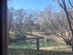 -北京动物园-畅观楼