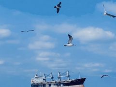 -威海华夏城景区