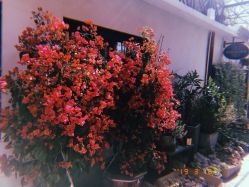 -飛凡TATTOO纹身•原创